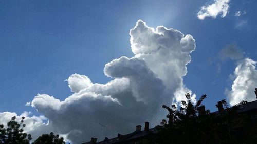 何に見える？吉岡里帆が投稿の雲の写真が話題「カモメ」「リス」「天使」などの声