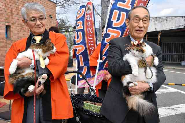 和歌山）ネコ駅長ニタマの誕生日に　ネコ市長がお祝い：朝日新聞デジタル