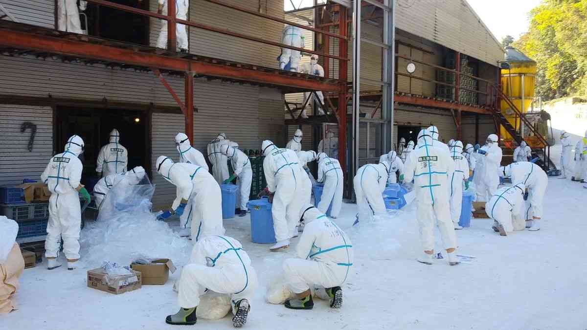 ｢死者数は40倍｣新型コロナより恐い