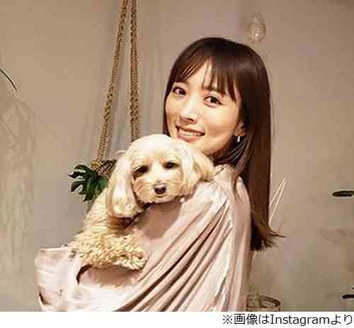 夏菜、ノブコブ吉村から結婚ご祝儀「すごい大金」 | Narinari.com
