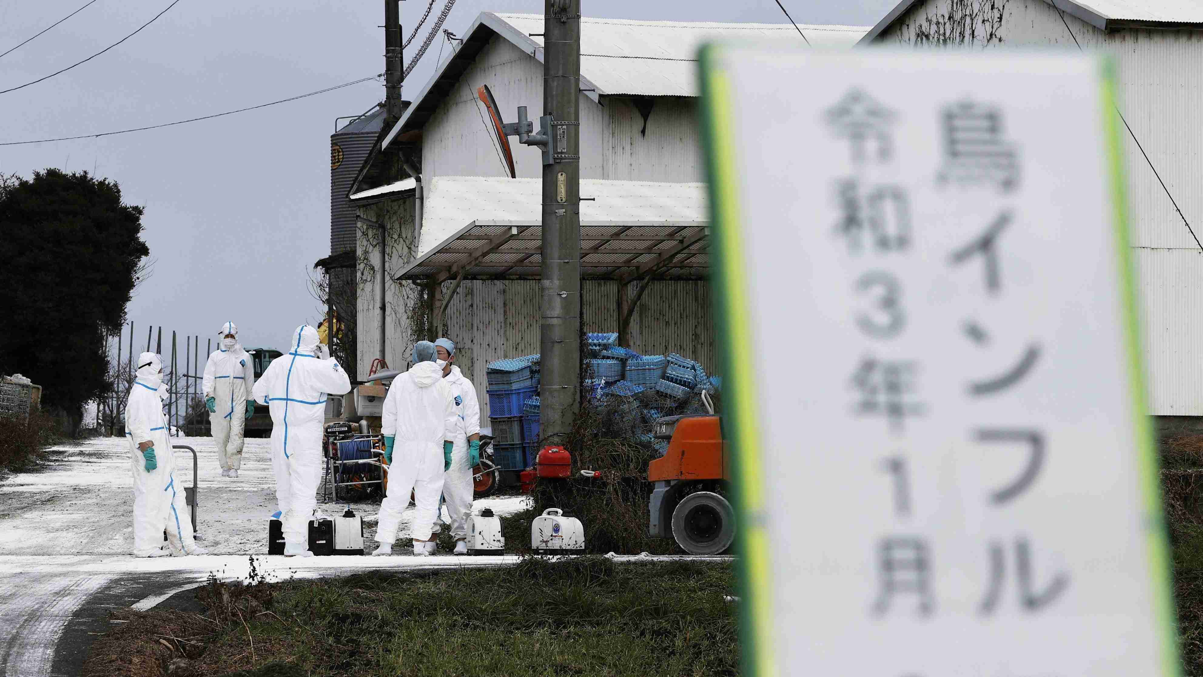 コロナ禍に新たな脅威｢新型インフル｣に要警戒 | 新型コロナ、長期戦の混沌 | 東洋経済オンライン | 経済ニュースの新基準