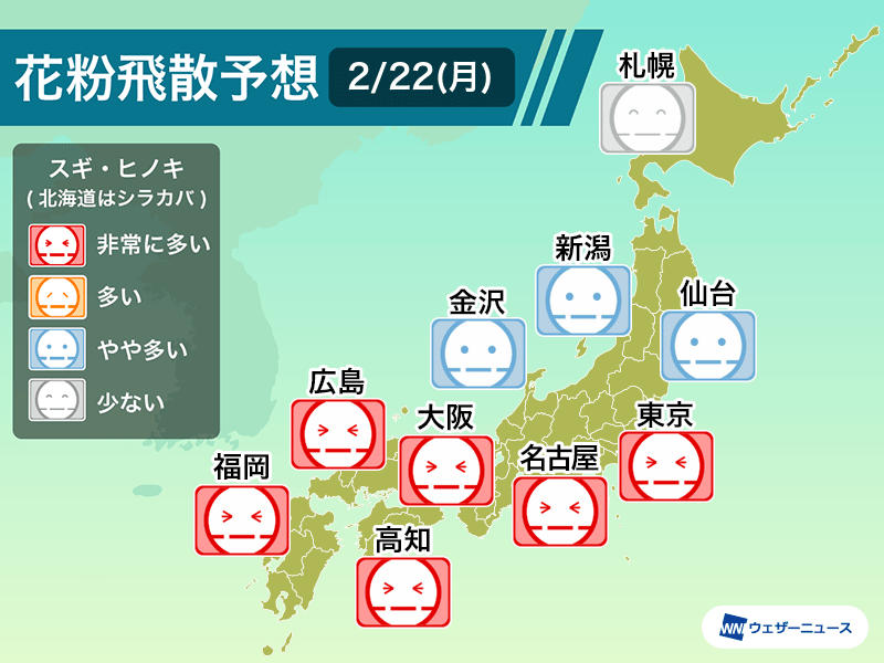 東京都心など最高気温は23℃予想 2月なのに初夏ようなの暖かさに