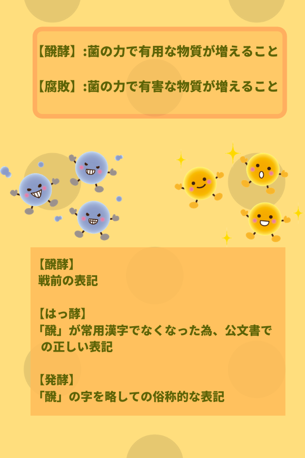 発酵食品を語りたい