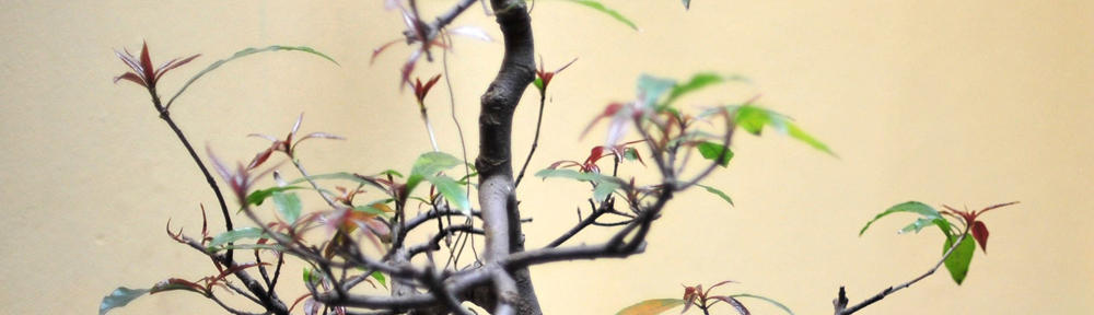 THE BEATLES 全曲レビュー | test