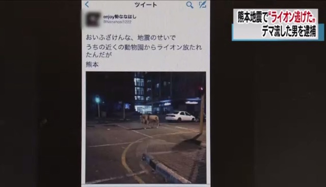 地震でまたも飛び交ったデマや差別発言　桁違いの拡散、どう対処？
