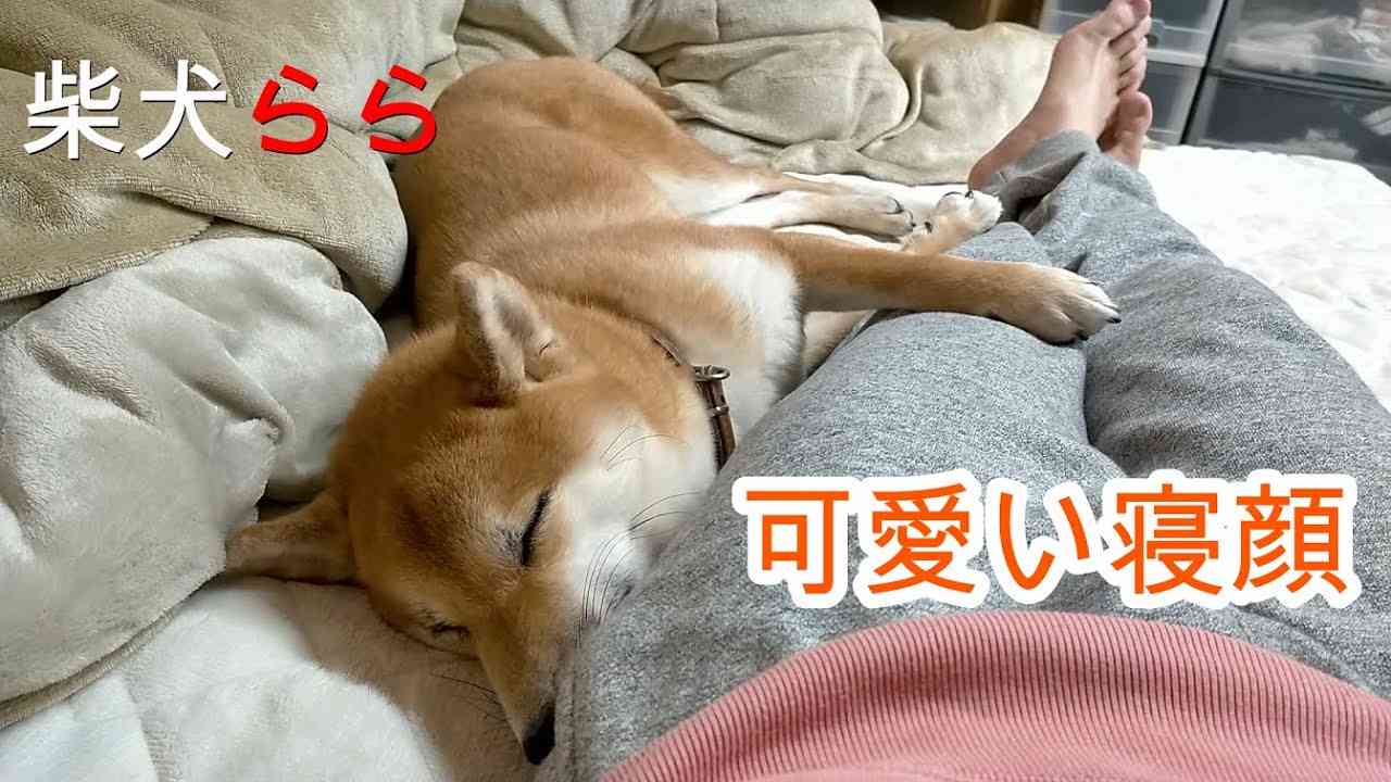 可愛い寝顔 - YouTube
