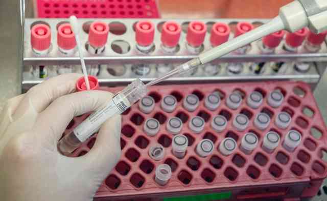 新しいニセ医学「新型コロナ否認主義」  (1/2)