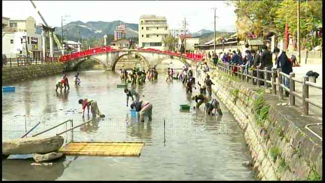豪雨で被災した蓮池の復活に向けて植え付け作業　人吉