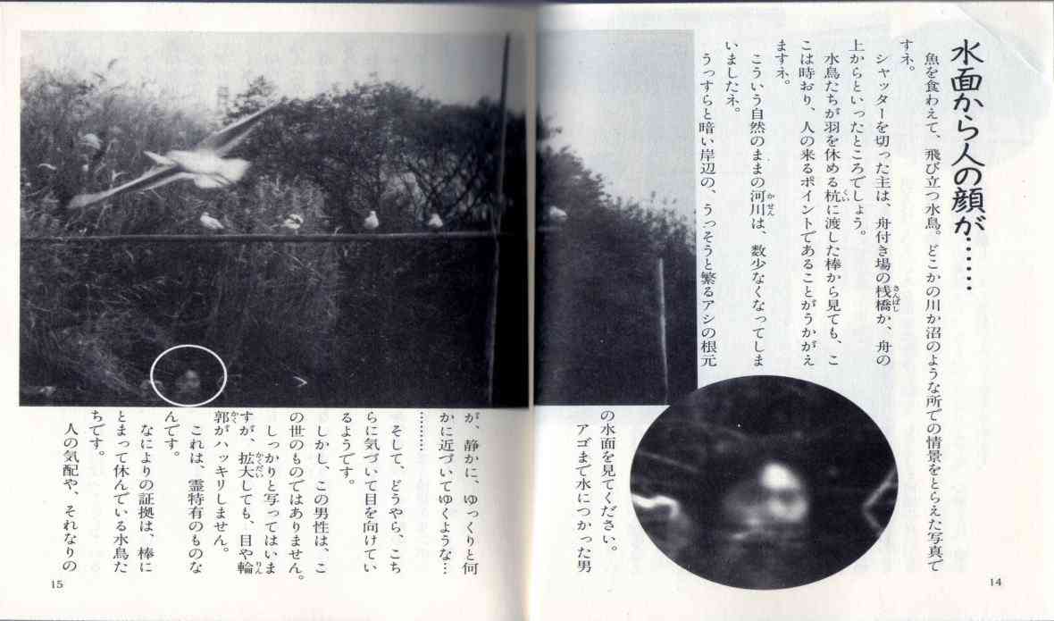 【閲覧注意】貼られた心霊写真を見て語るトピpart8