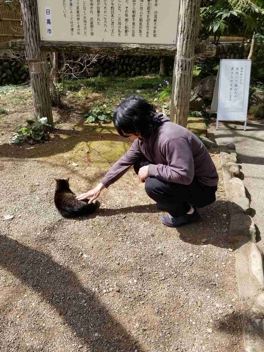 野田クリスタル好きな人！