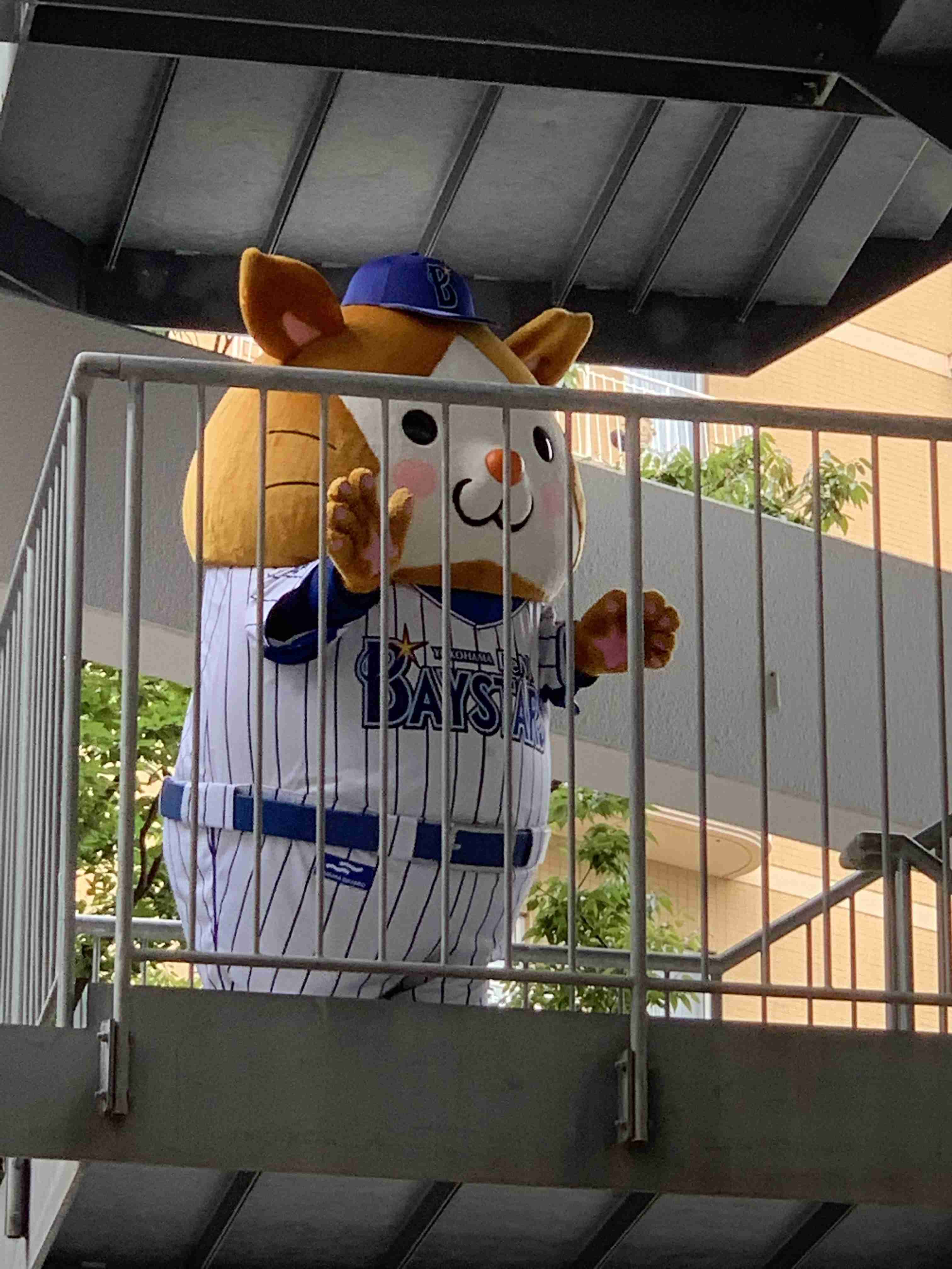 横浜DeNAベイスターズファン集合！！