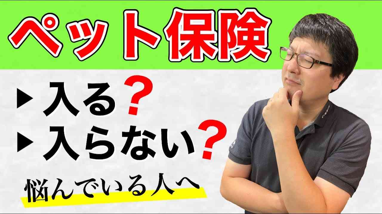 ペット保険って何？入るとお得なの？ - YouTube