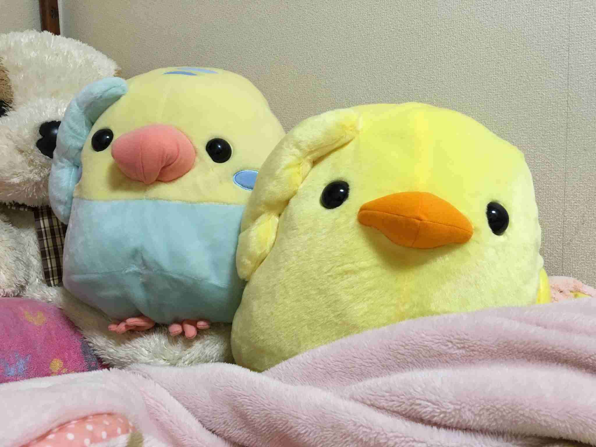 【画像】かわいいぬいぐるみ・人形
