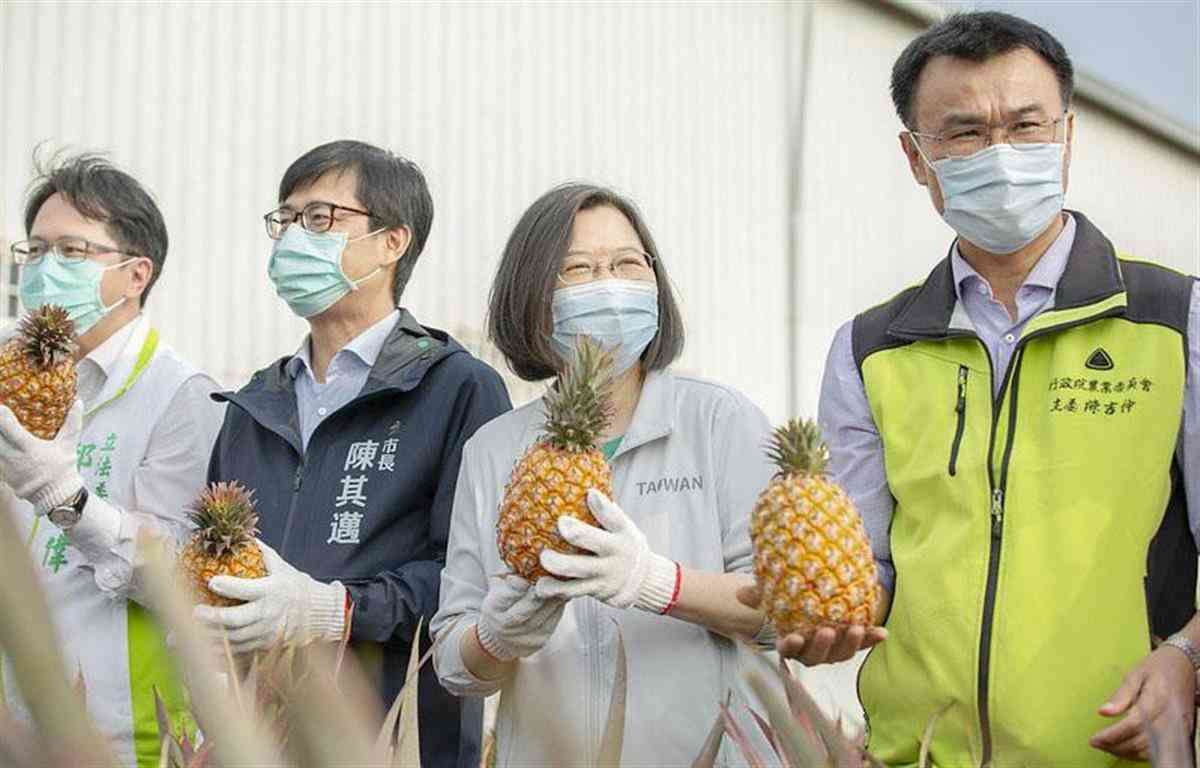 台湾パイナップル、日本への輸出に期待　中国の禁輸受け