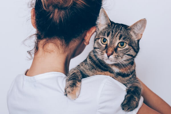 保護猫と暮らせる「猫付き賃貸併用住宅」　飼育困難になった場合は猫を返すことも可能