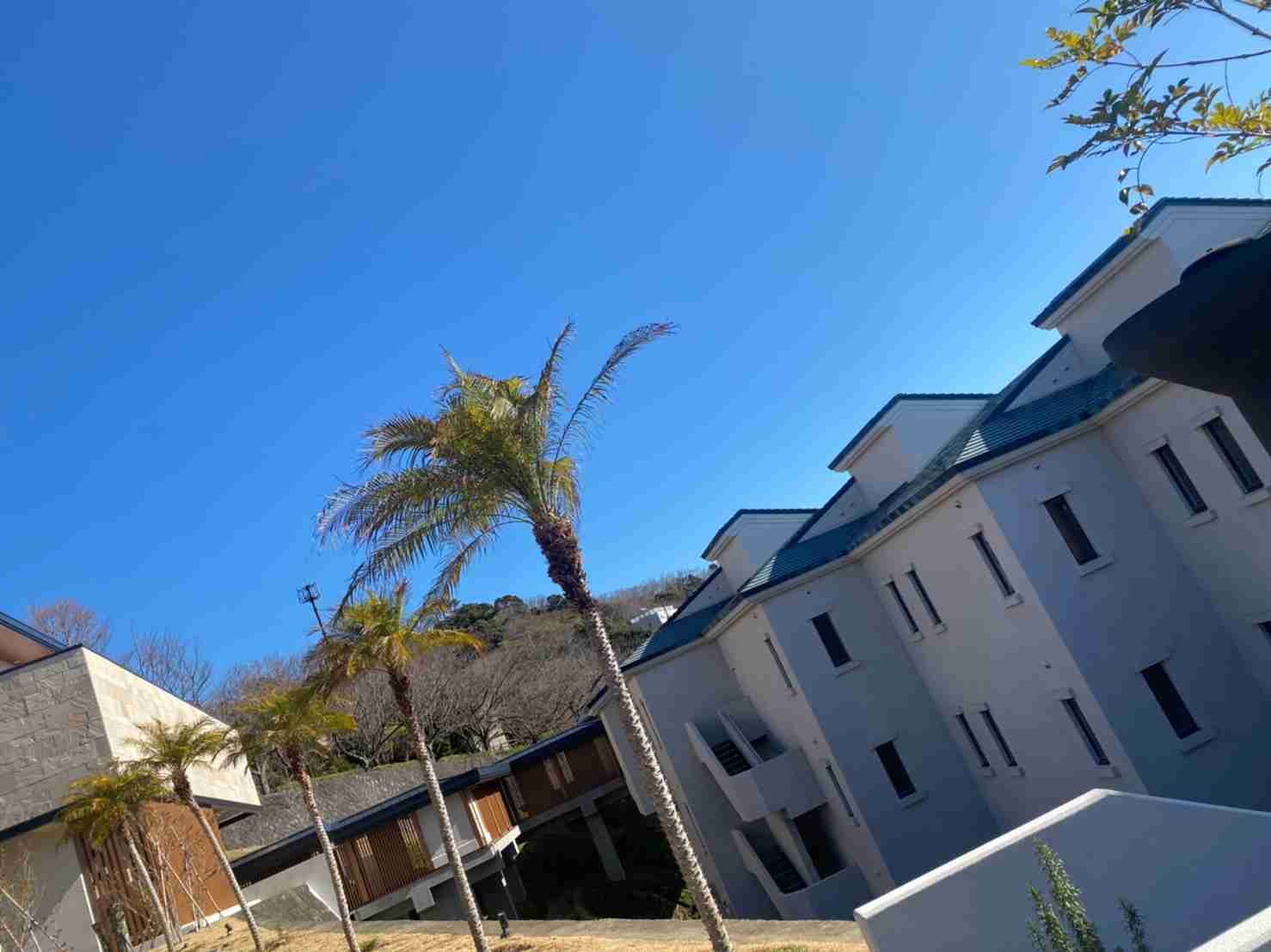 熱川旅行ふたたび！海を見下ろす高台のお洒落なリゾートホテルで一泊！ －中村うさぎの死ぬまでに伝えたい話－ - 中村うさぎ公式サイト