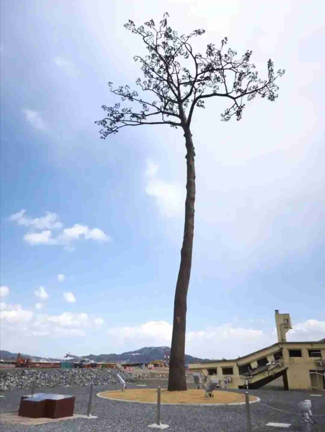 東日本大震災から9年