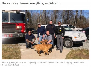 岩に挟まれ鳴き声も出せなかった犬、母犬が匂いを嗅ぎ当てピンチを救う(米)