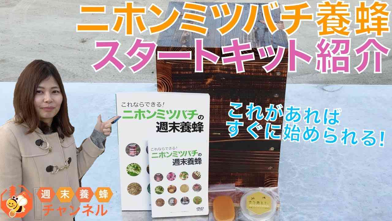 ニホンミツバチ養蜂初心者向け【スタートキット紹介】 - YouTube