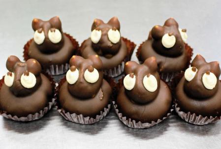 昭和の味「たぬきケーキ」人気再燃、SNS追い風に　各地でファン“捕獲”