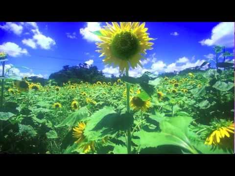 夏影 piano - YouTube