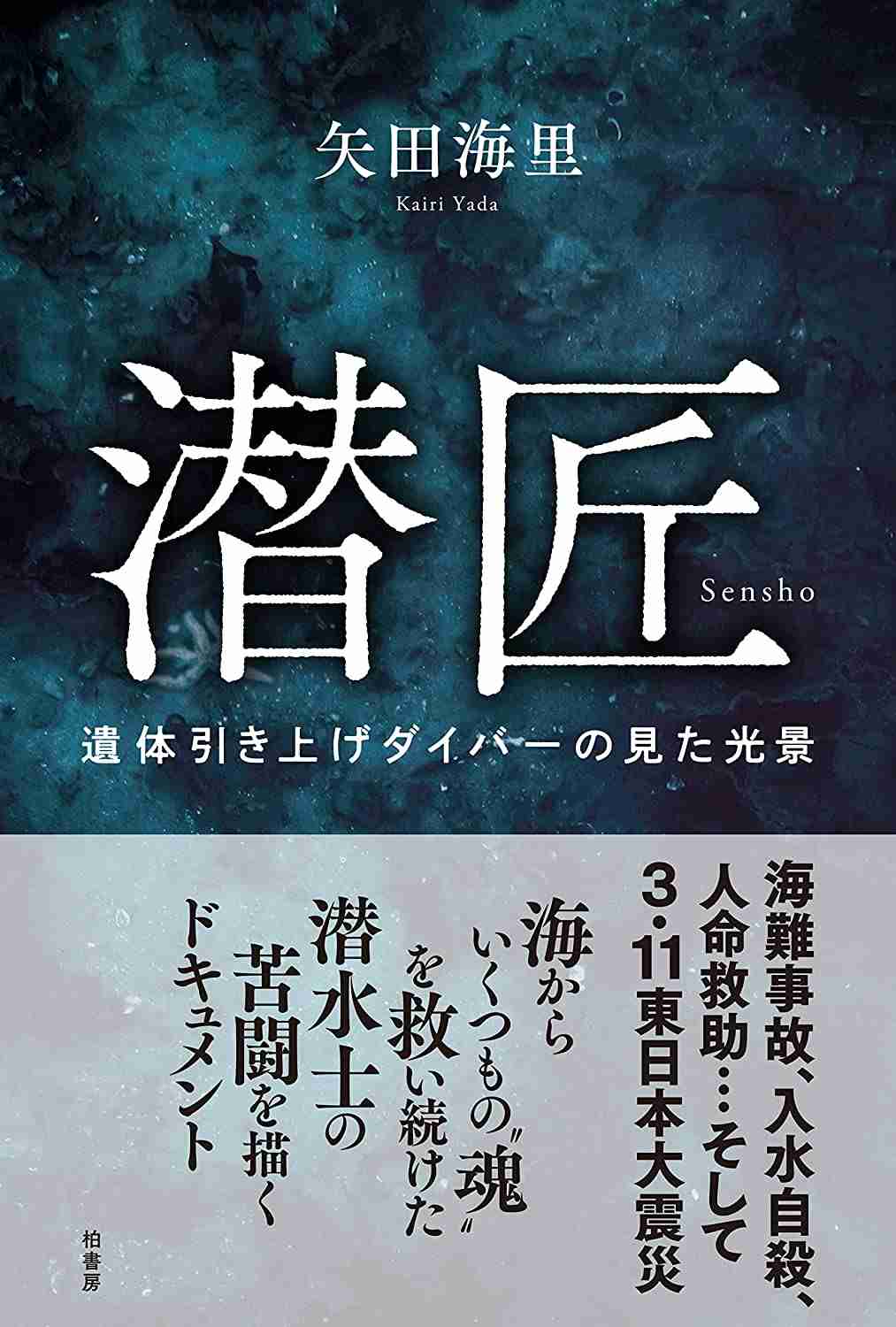 【定期】読書総合トピ【Part10】