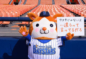 たぬき!狸!Tanuki!
