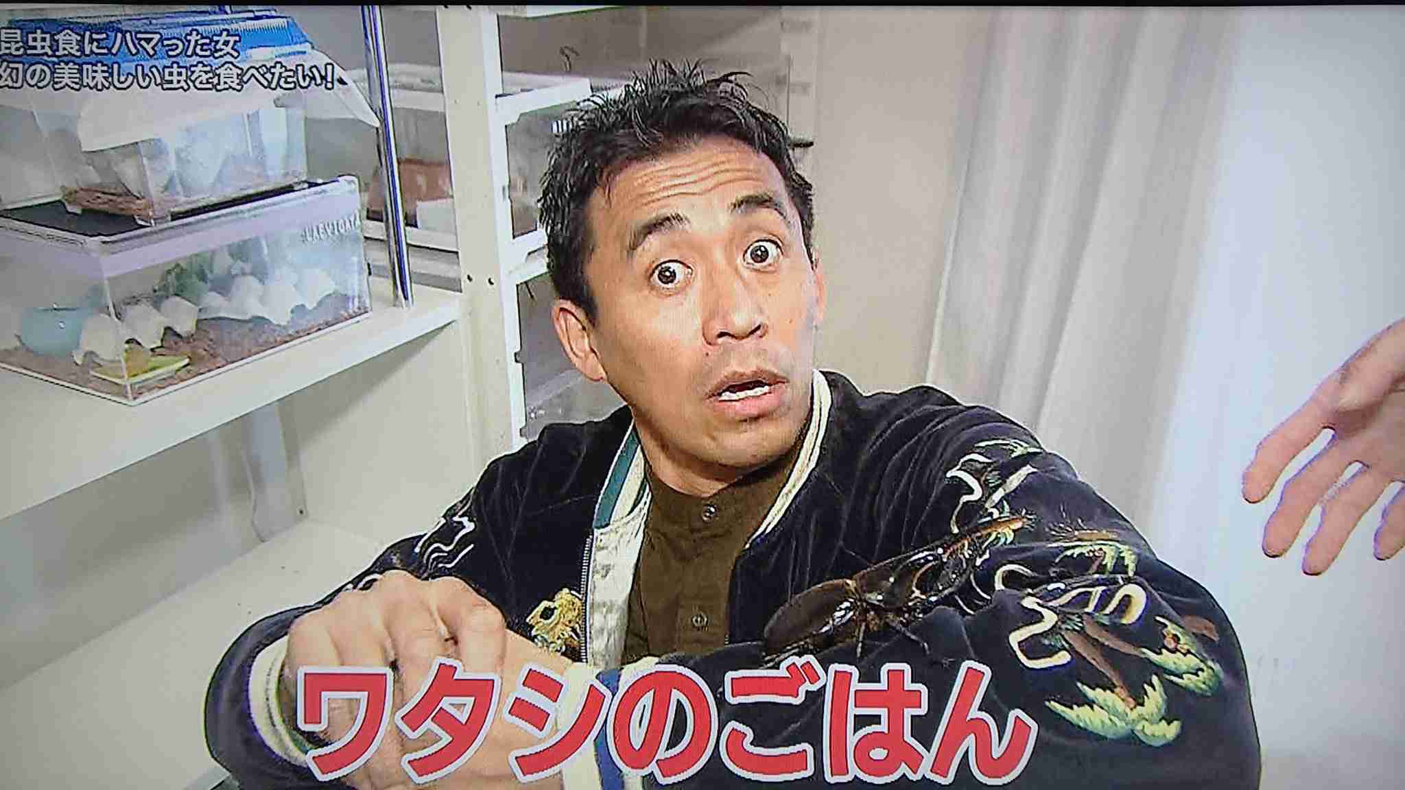 探偵ナイトスクープ 好きな人 ガールズちゃんねる Girls Channel