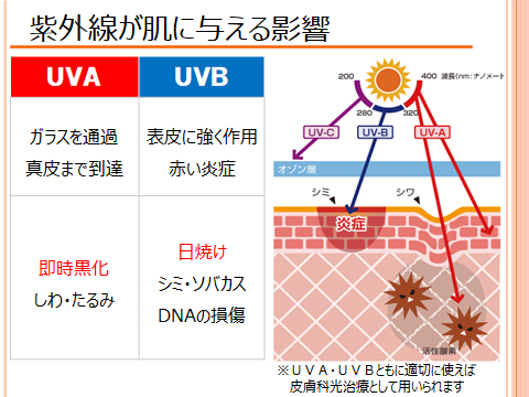 ガルちゃん・紫外線対策本部
