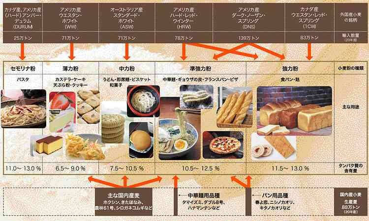 「買いだめが心配」 小麦粉“値上がり”へ