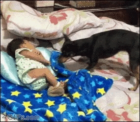 ちょっと感動してしまう画像やGIFで心を綺麗にするトピpart2