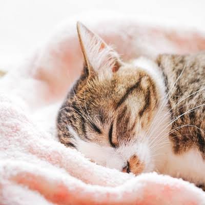 辛いことにイエーイ!をつけて前向きになるトピ