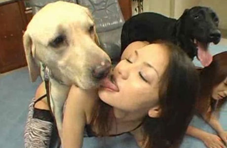 獣姦＝アニマルセックス、動物売春宿の実態 : 風俗まにあ
