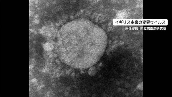 英変異ウイルス 死亡リスク最大2倍　従来型と比べて