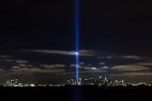 人工照明が渡り鳥を迷わせている | バードリサーチニュース