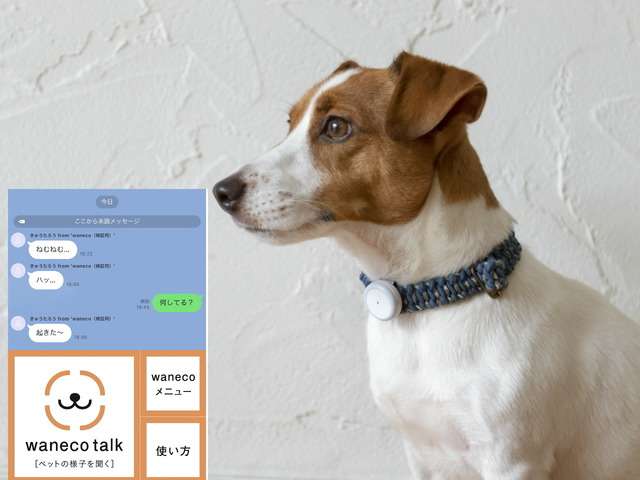 NEC、ペット事業「waneco（ワネコ）」を展開--デバイス×AIで行動分析、LINEでペットと会話も - CNET Japan