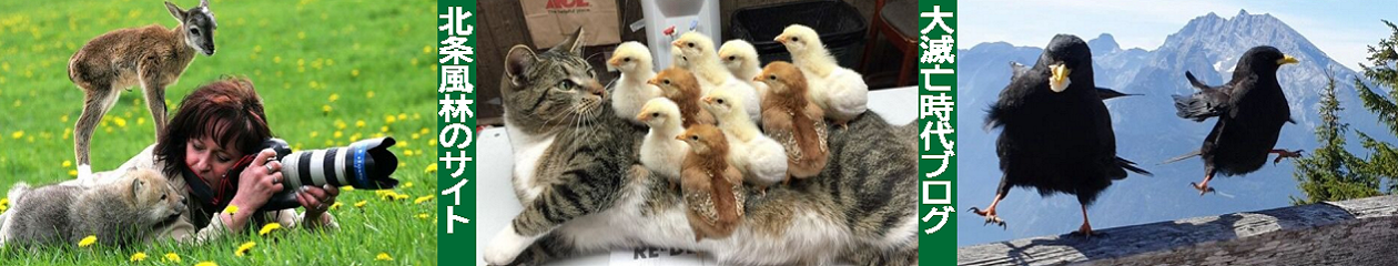 「マスゴミ」はネットスラングではなく正しい表記 | 北条風林