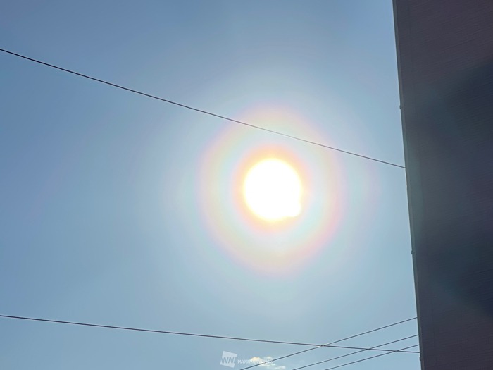 関東では朝から花粉光環が出現　雨上がり＋強風で大量飛散のおそれ