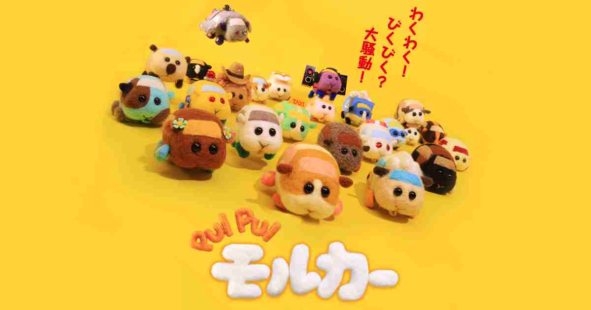 PUI PUI モルカー Blu-ray（特装限定版）& DVD
