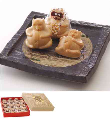 たぬき!狸!Tanuki!