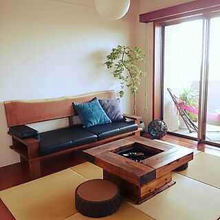 生活に必要ないけど欲しい物