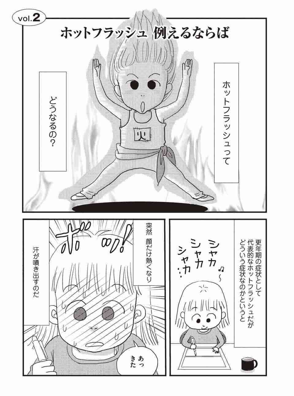 ホットフラッシュが辛い☆2