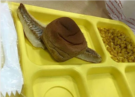    ミッシェル・オバマ大統領夫人が強行する「肥満撲滅給食」があまりに不味そうと炎上 | netgeek