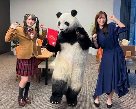 綾瀬はるか『ZIP!』パンダの星星と共演に歓喜 『奥様は、取り扱い注意』とコラボ