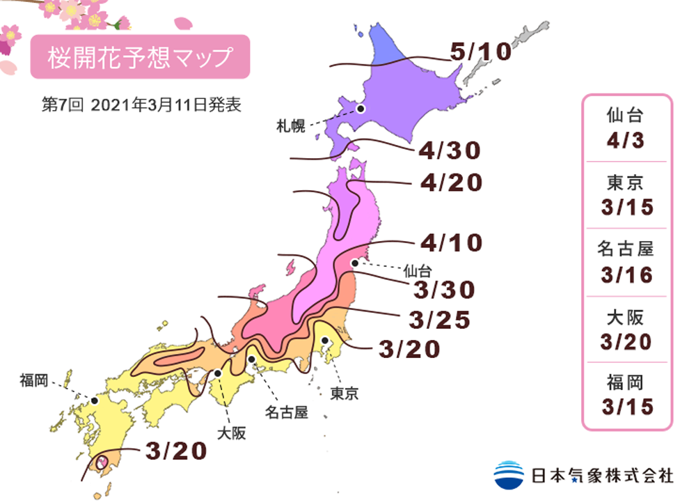広島市でサクラ開花 ことし全国初の発表 昭和28年以降最も早い
