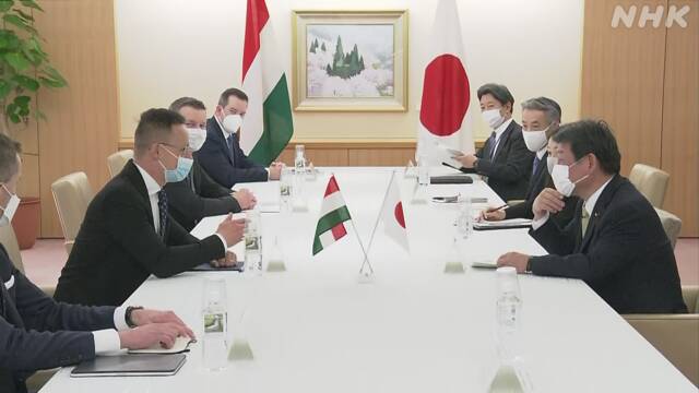 日本とハンガリー外相 中国の一方的現状変更試みに反対で一致 | 南シナ海問題 | NHKニュース