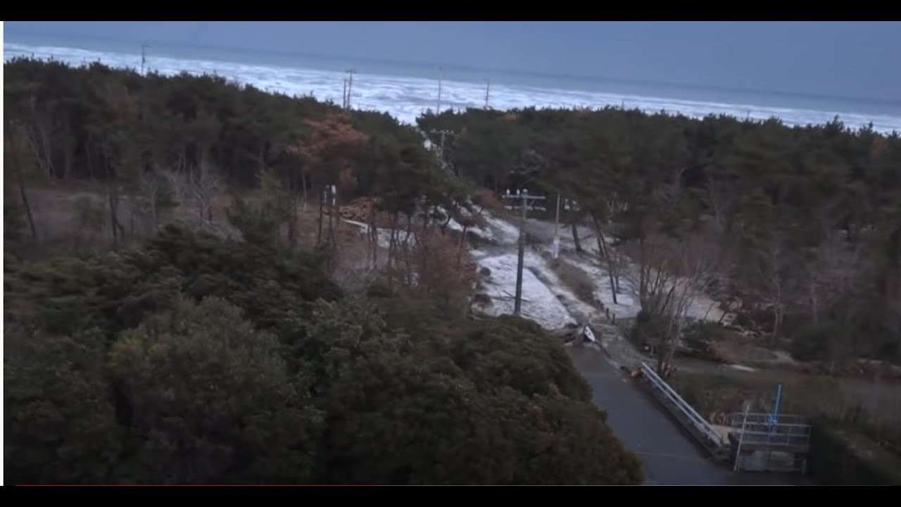 海岸の樹林帯が津波を減災する効果があることの証明 - YouTube