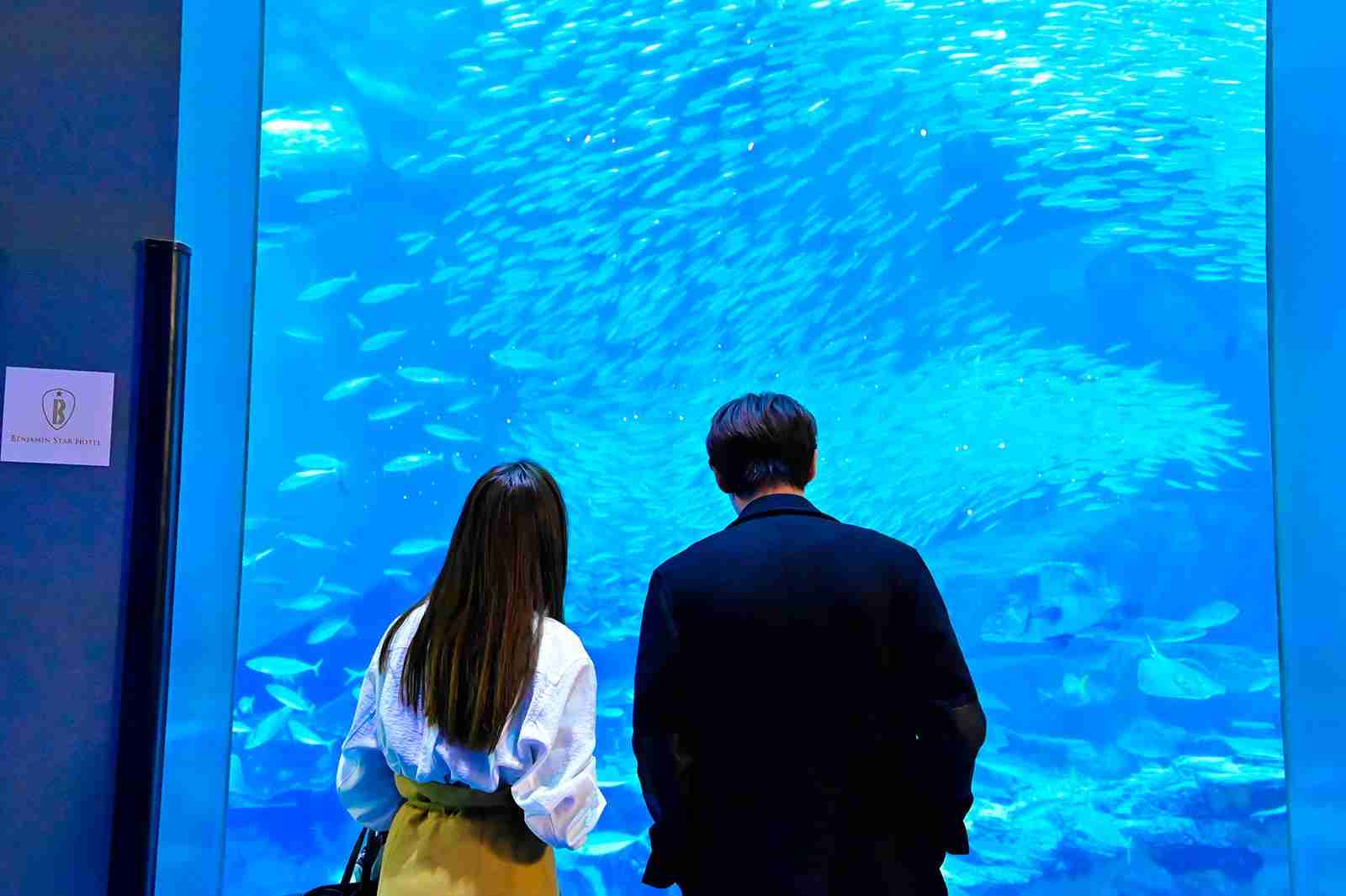 石原さとみ&綾野剛、海で見つめ合う「恋はDeepに」胸キュン場面写真初公開