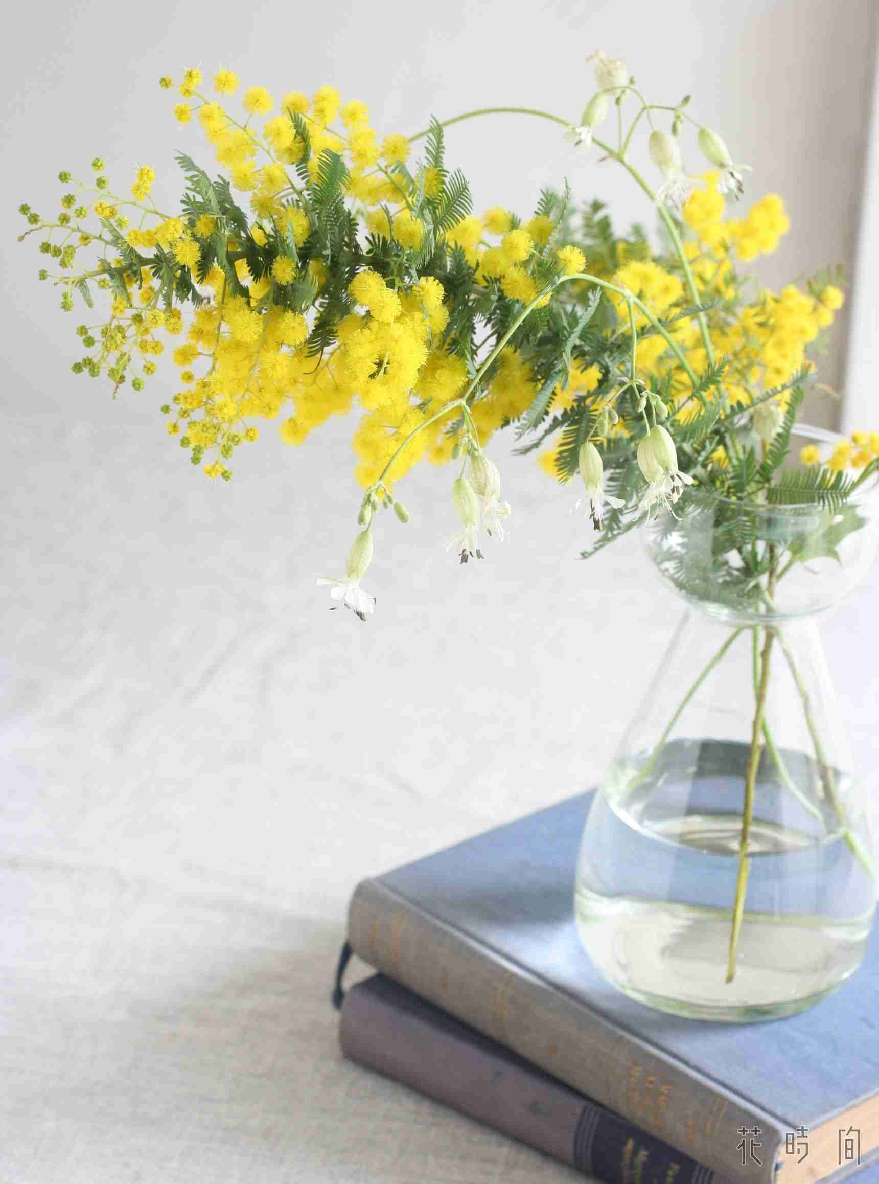 切り花を長持ちさせる方法