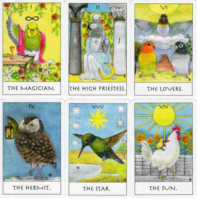 いろいろなタロットカードを見たい✩.*˚